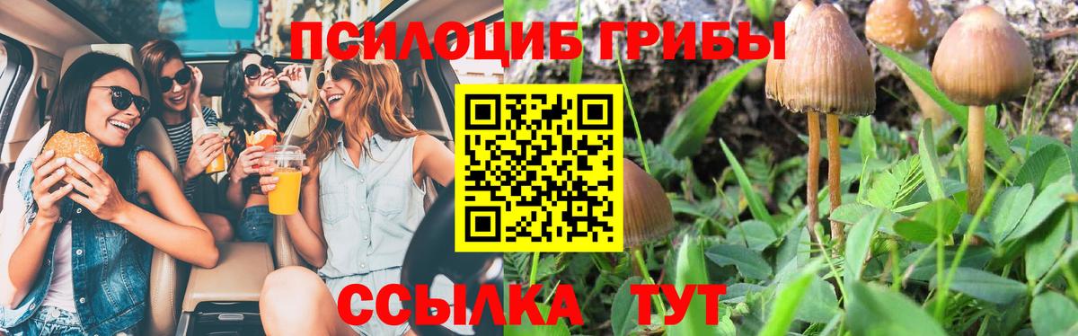 Псилоцибиновые грибы MAGIC MUSHROOMS  наркошоп  Галлюциногенные грибы Psilocybe  Ростов-на-Дону  Вход с VPN 